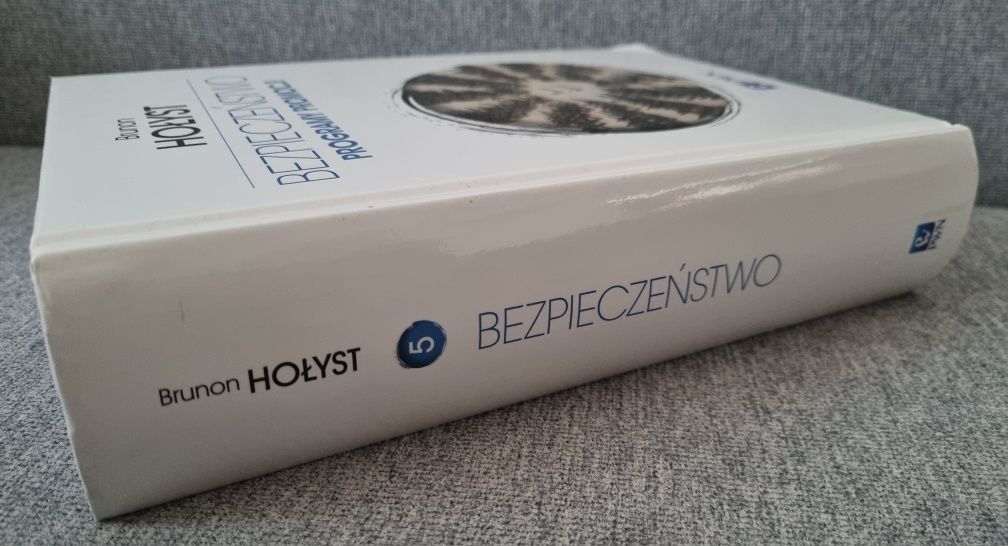 Bezpieczeństwo. Programy promocji. Brunon Hołyst
