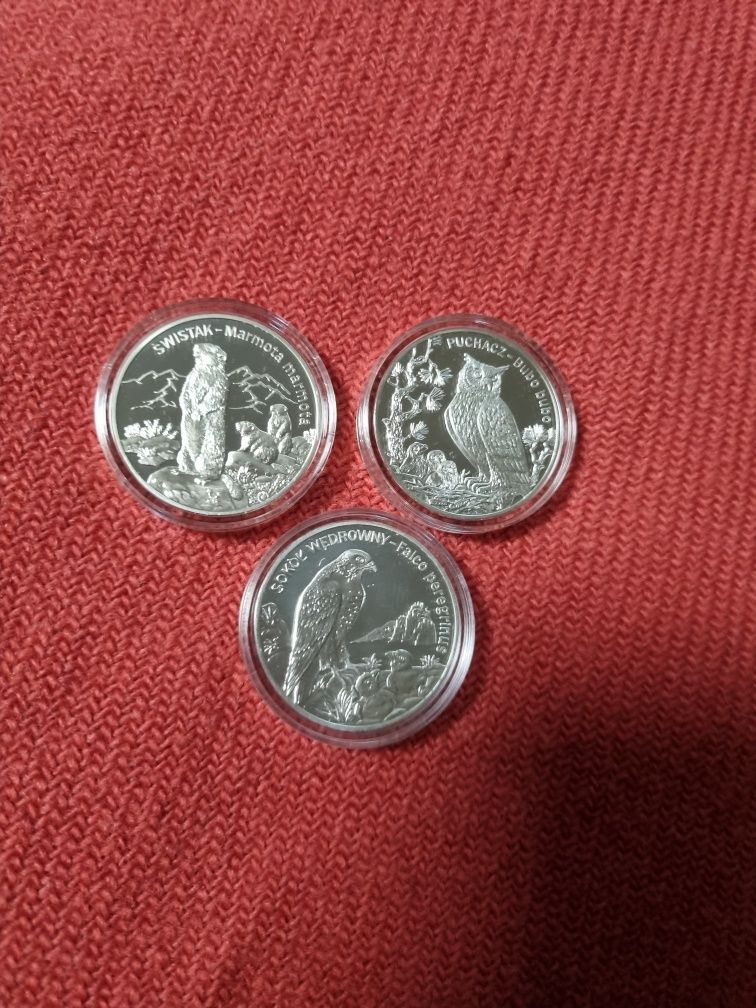 Srebrna moneta 20zł Świstak