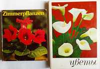 Цветы (комнатные растения), Zimmerpflanzen