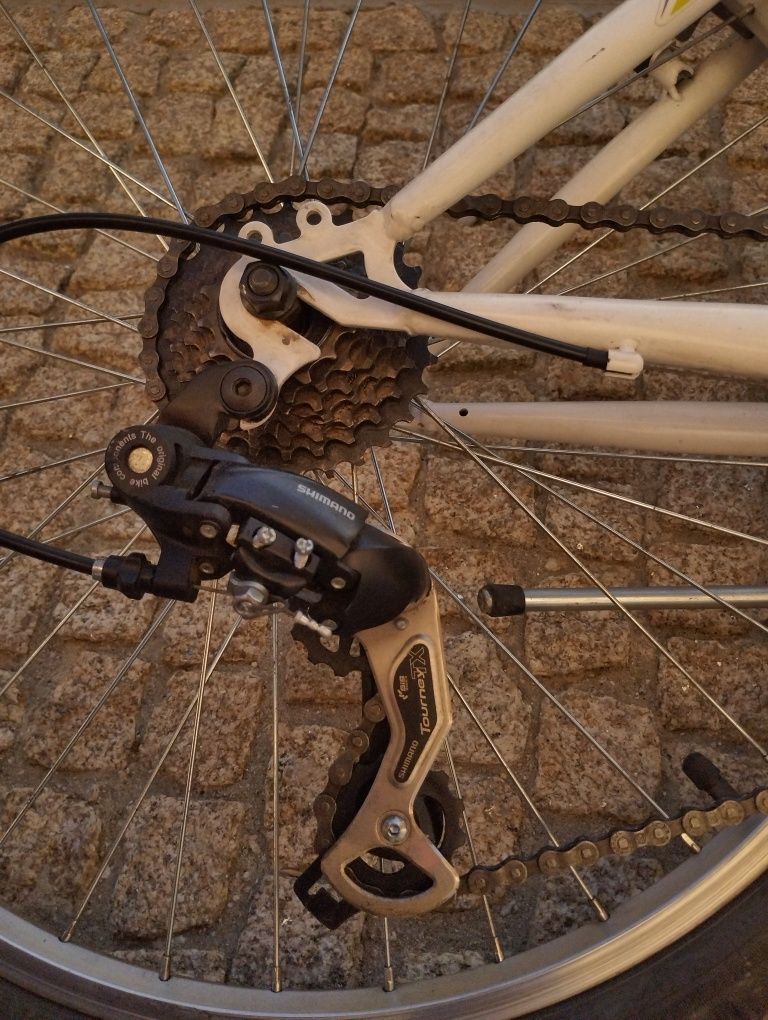 Bicicleta DS rider