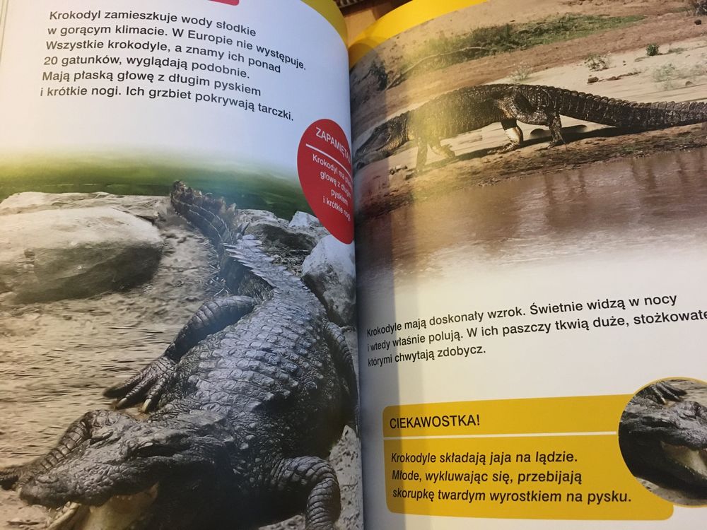 Albumy Zwierzęta świata i encyklopedia zwierząt- ryby nowe!!!