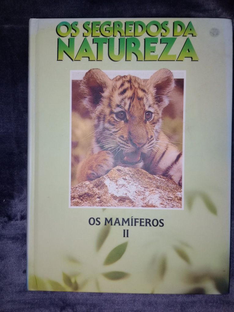 Coleção de livros