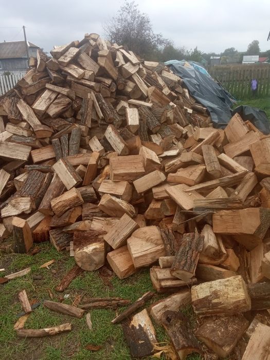 Купить дрова в Харькове и пригороду| Дрова дубовые, колотые и чурки