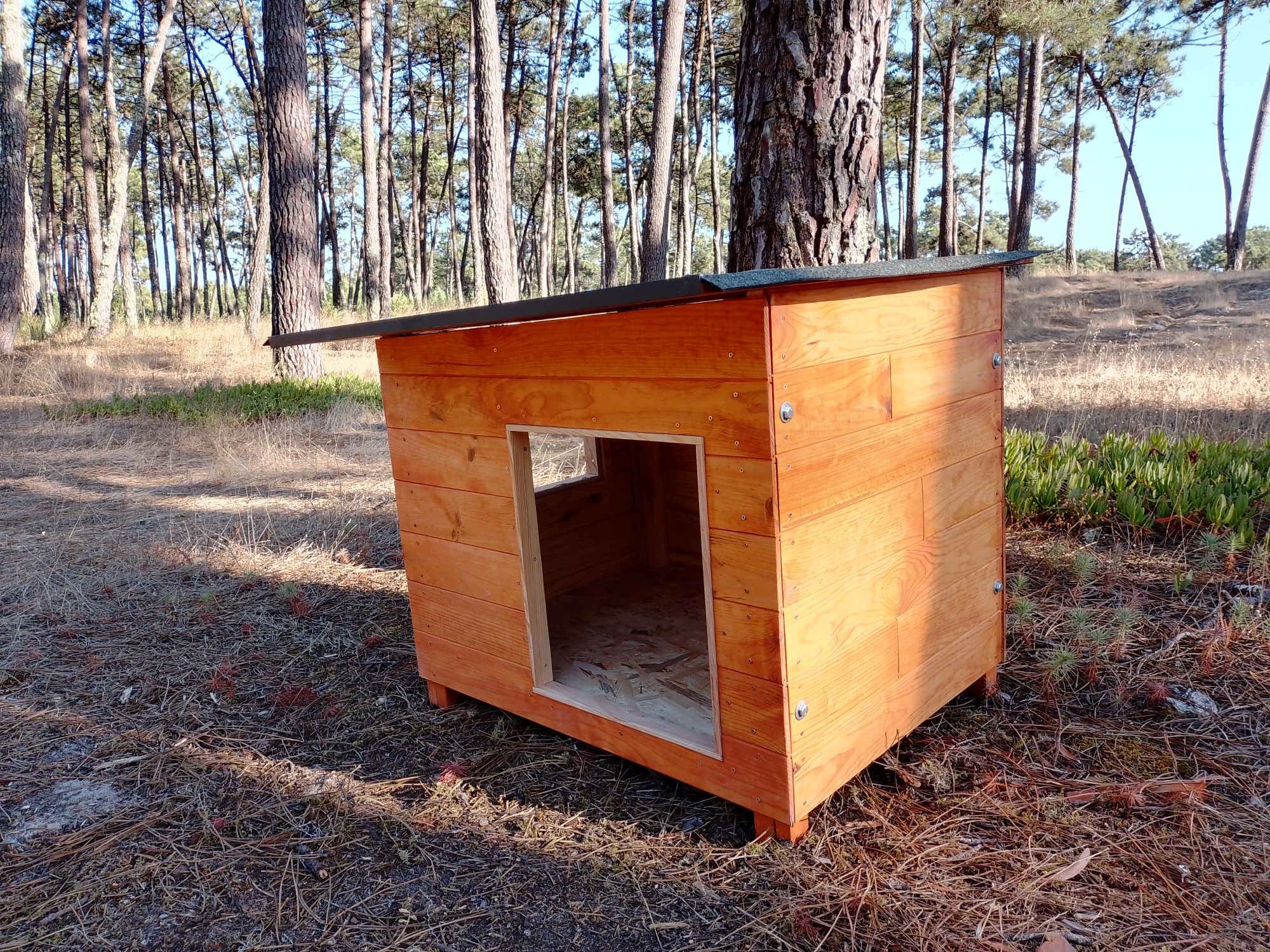 Casota para Beagle