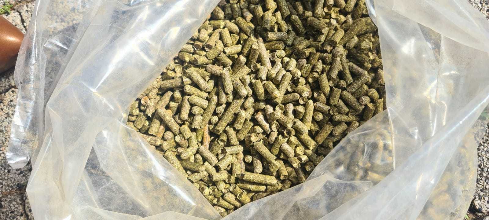 Siano granulowane - Trawokulki - pellet z siana dla koni PRODUCENT