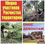 Расчистка участков. Спил деревьев. Демонтаж. Вывоз мусора