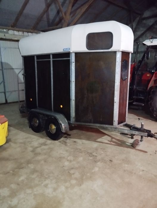 Transport zwierząt wynajem