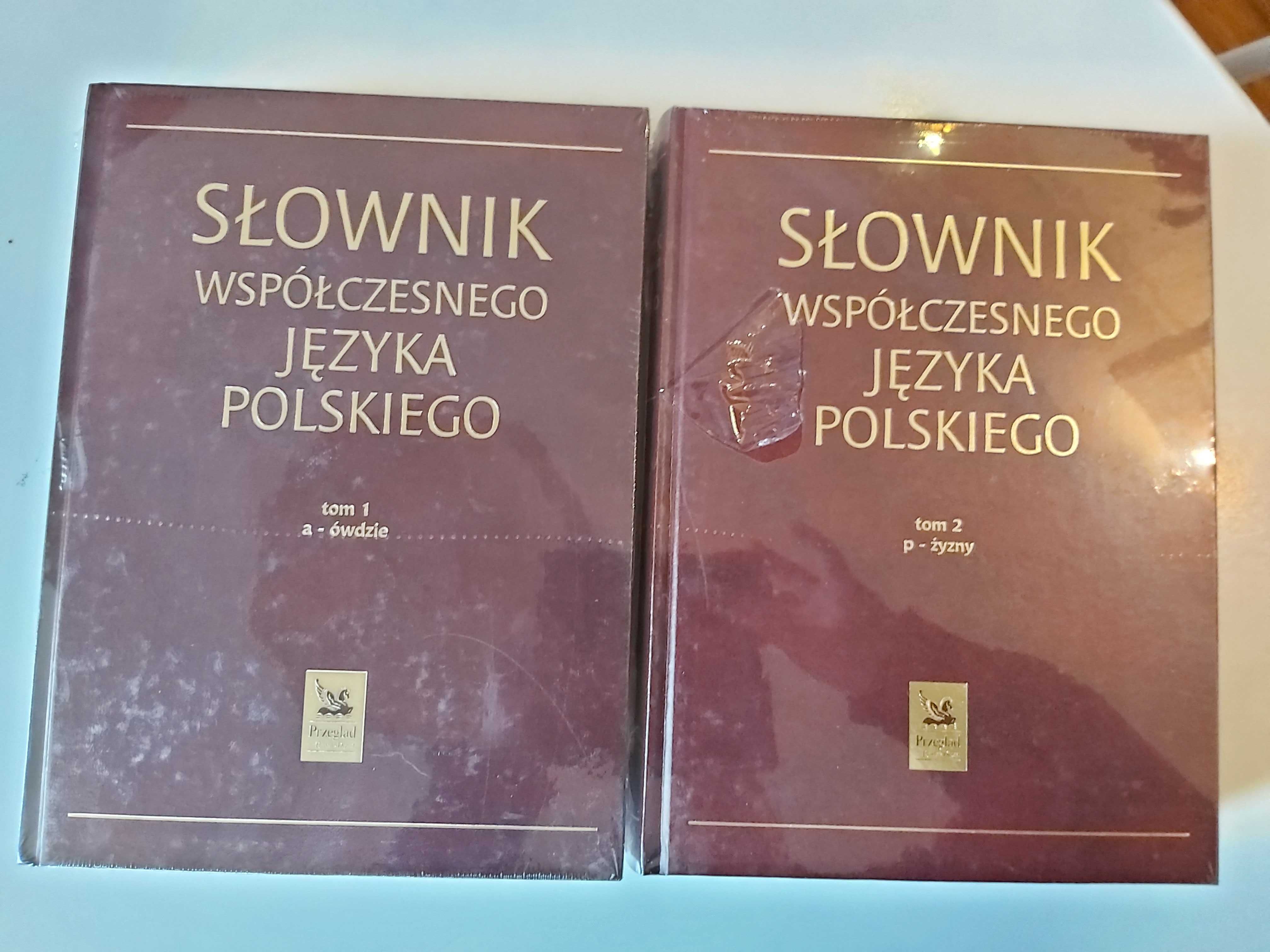 Słownik współczesnego języka polskiego 2 tomy.