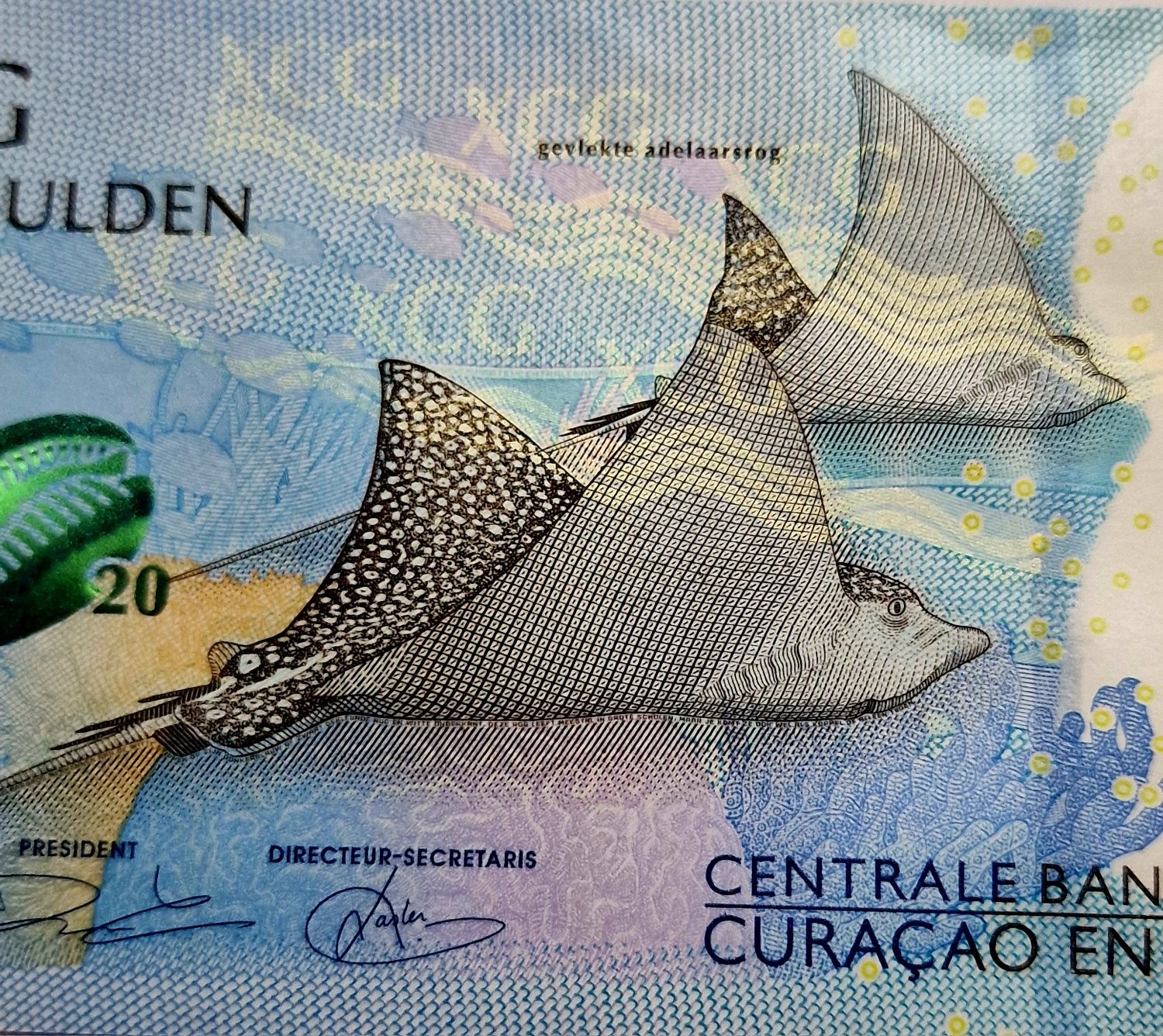 Banknot Banknoty CURACAO 20 gulden UNC