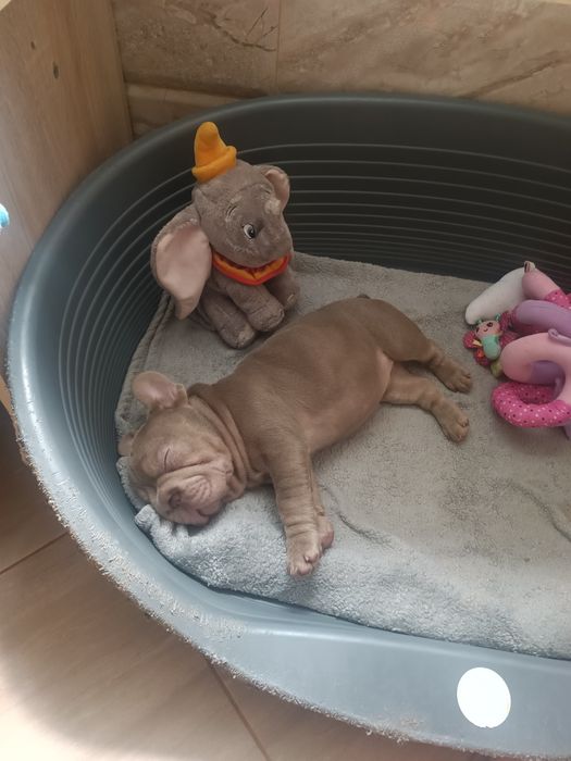 Дівчинка Мішель 3 місяці