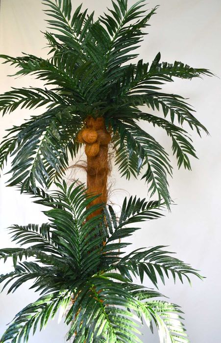Piękna sztuczna palma wysoka, dużo liści, kokosy drzewko egzotyczne