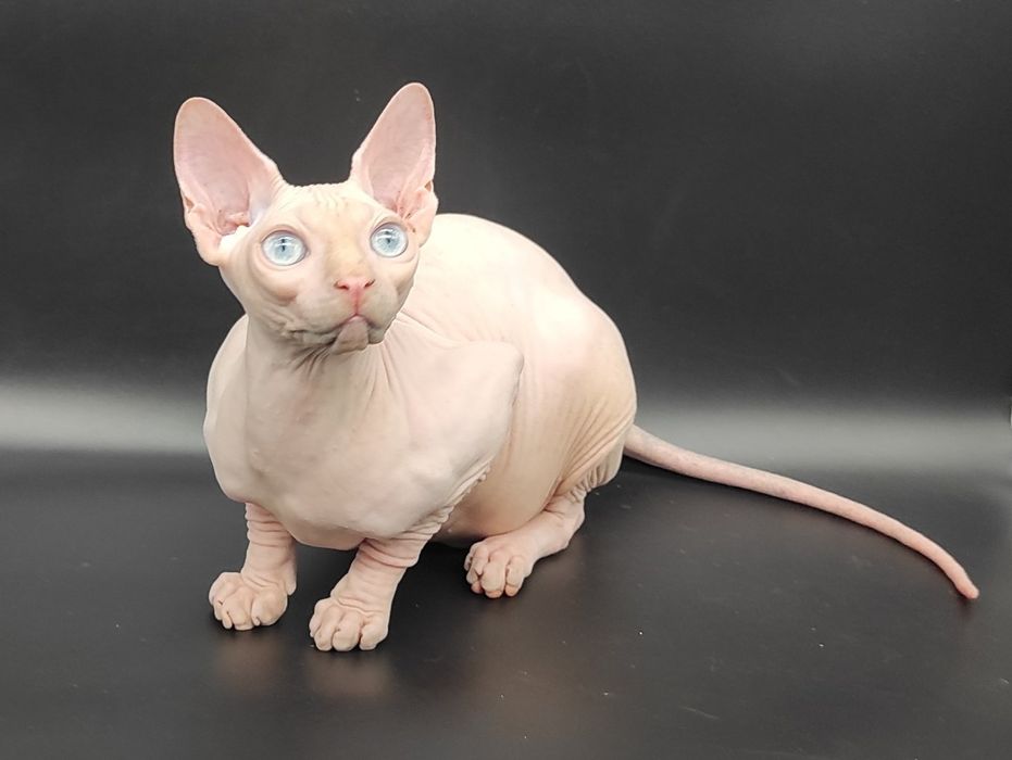 Голубоглазый парень