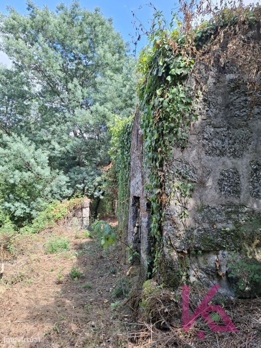 Quinta em Amarante para recuperação