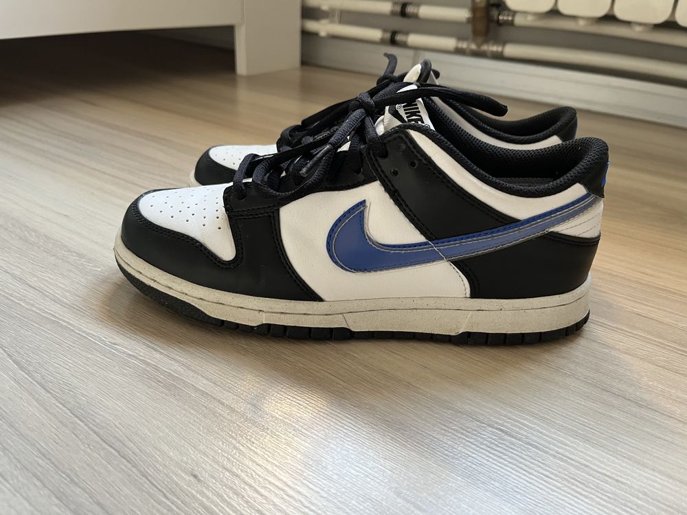 Nike dunk low next nature