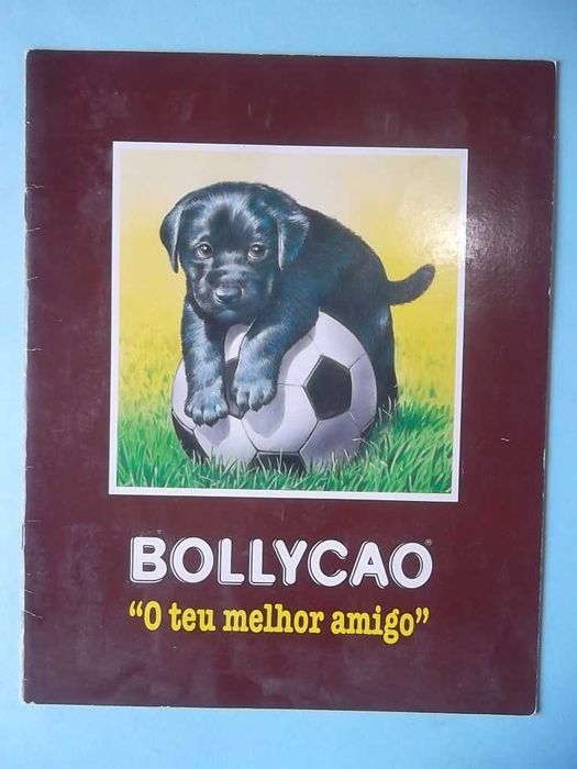 Diversas Cadernetas de cromos, ver fotos e descrição.