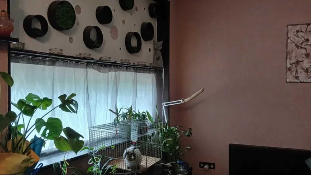 Продам дом. Жм "Добрый"(Ленпоселок) от хозяина