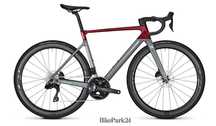 Rower Focus Izalco Max 8.9 Red
