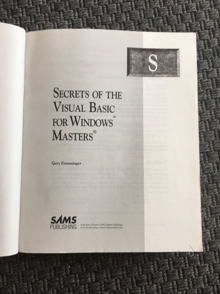 Secrets of the Visual Basic for Windows Masters - Gary Entsminger