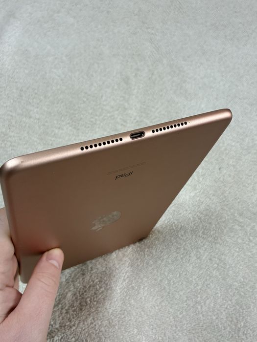 IPad Mini 5 256 Gb Gold