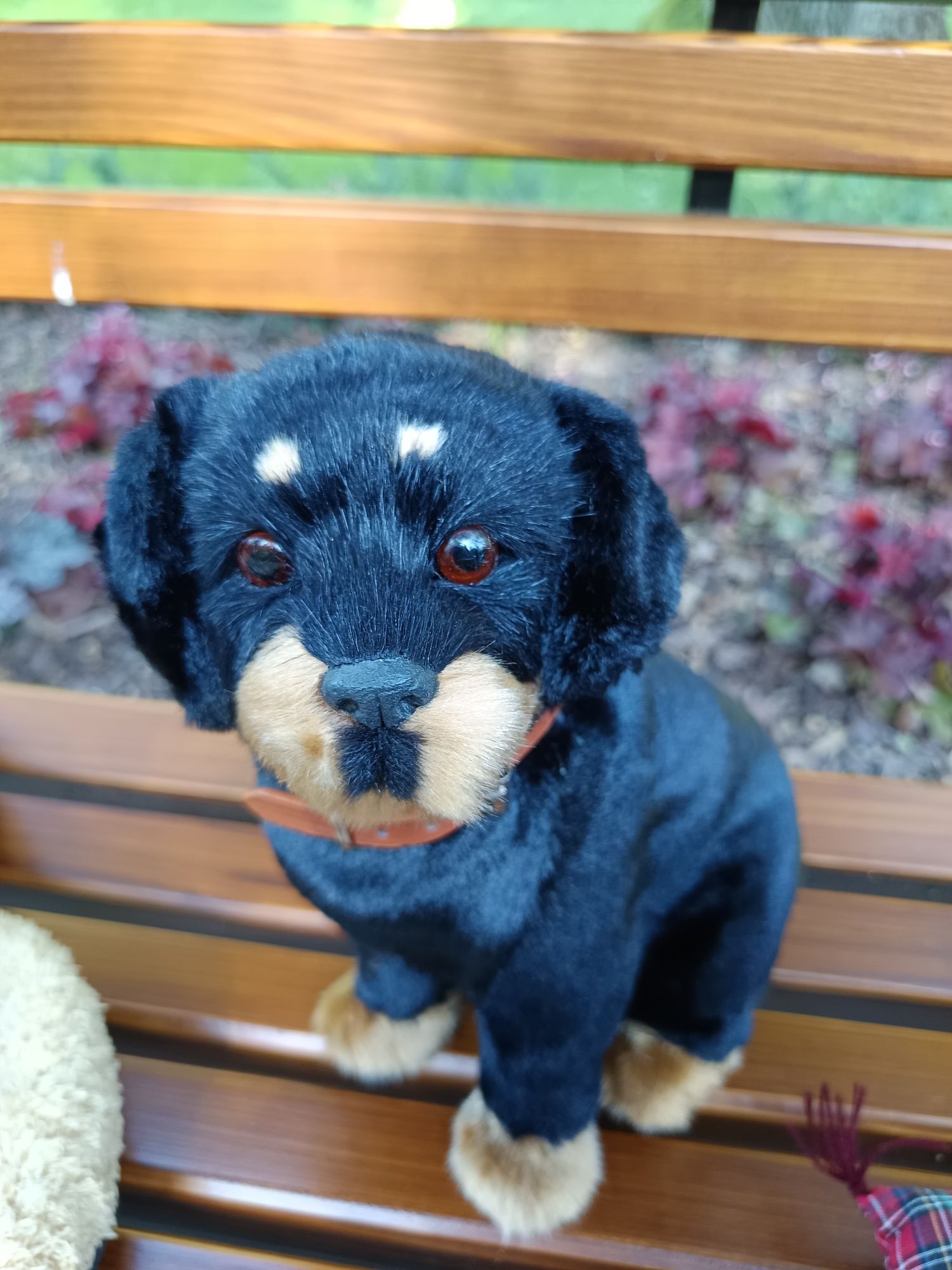Piesek rotwiler figurka
