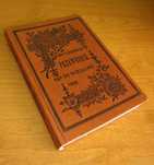 Ilustrowany przewodnik po Warszawie 1893 - reprint