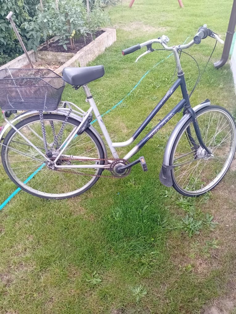 Rower holenderski