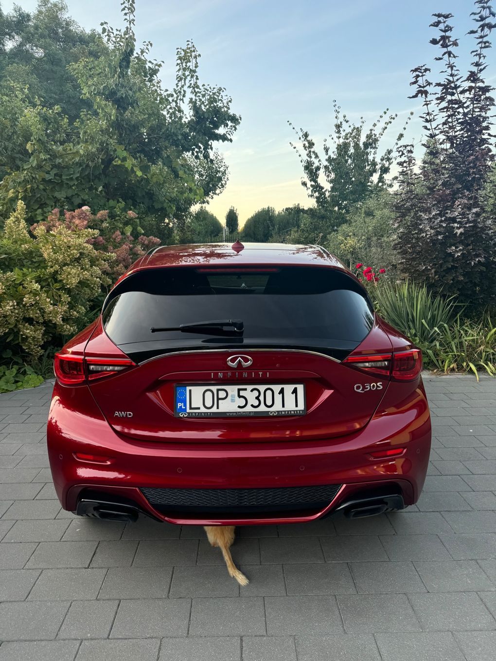 Infiniti Q30 Infiniti Q30S 2.2d o mocy 170 KM