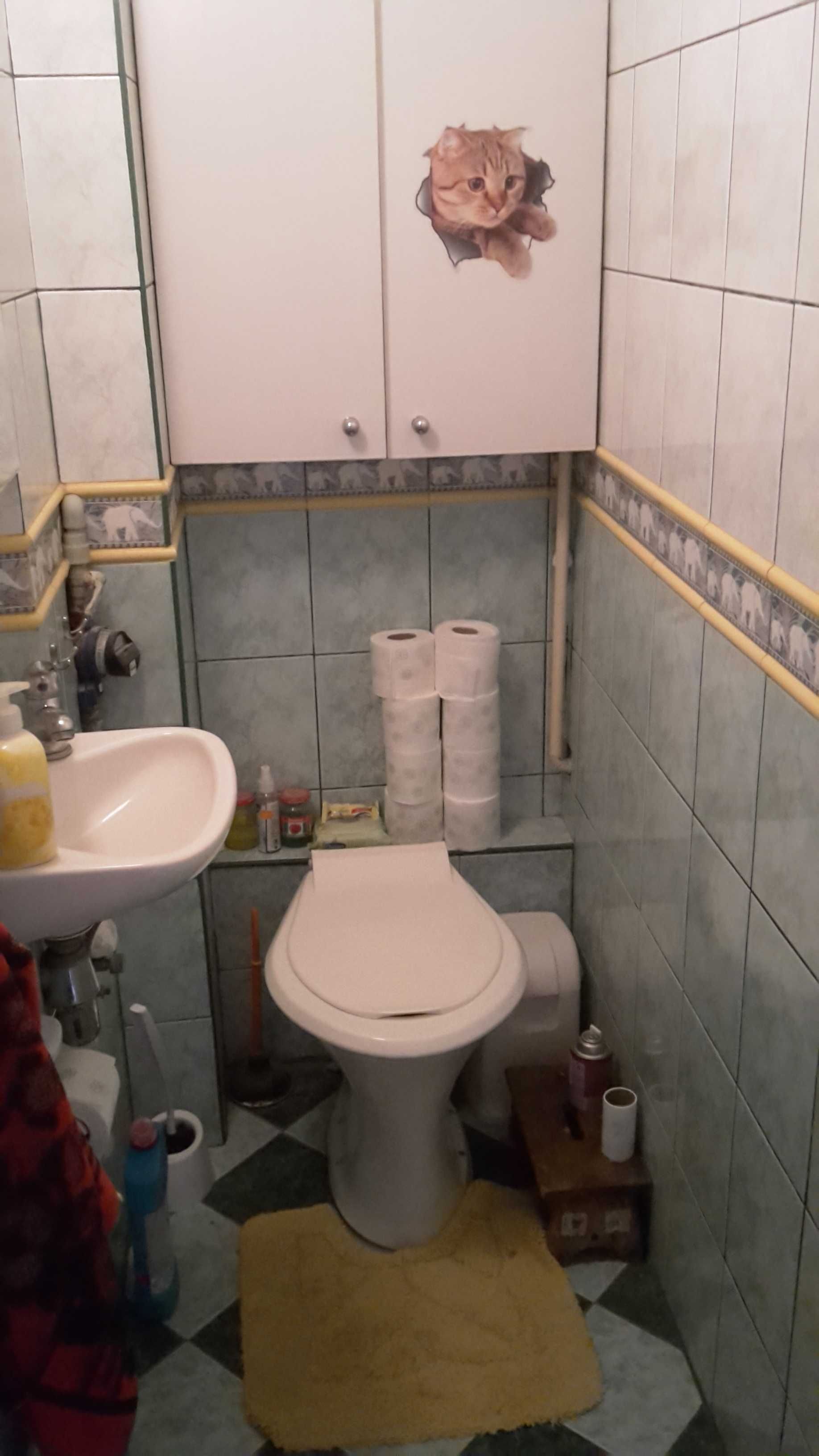 Pokoj  na wynajem