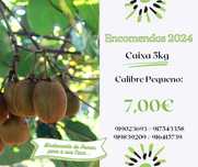 Kiwis Calibre Pequeno