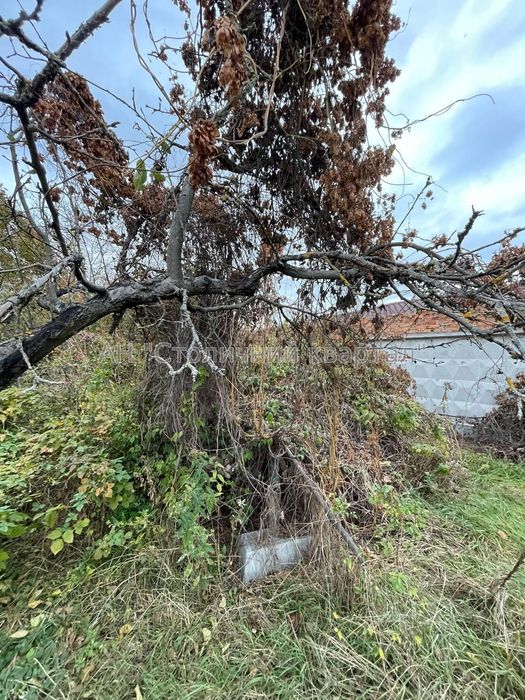 Продаж дачи та ділянки вул.Садова-131 метро Славутич