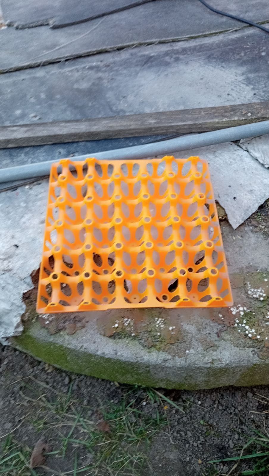 Лоток для зберігання яйця
