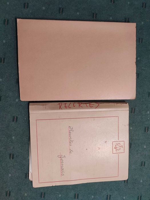 2 Dossier com recortes jornais relacionados com Castelo Branco-Anos 60