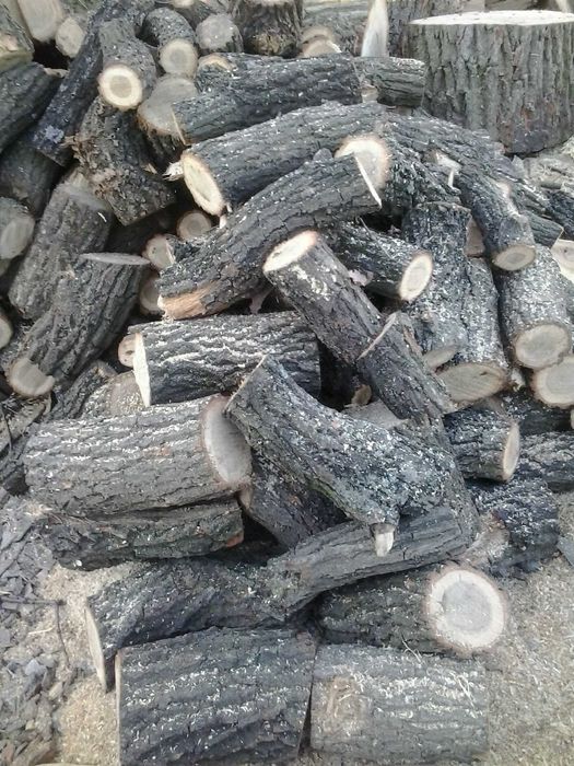 Продаємо дрова дубові колоті кругляк, чурки метрівки Обухів Київ обл.
