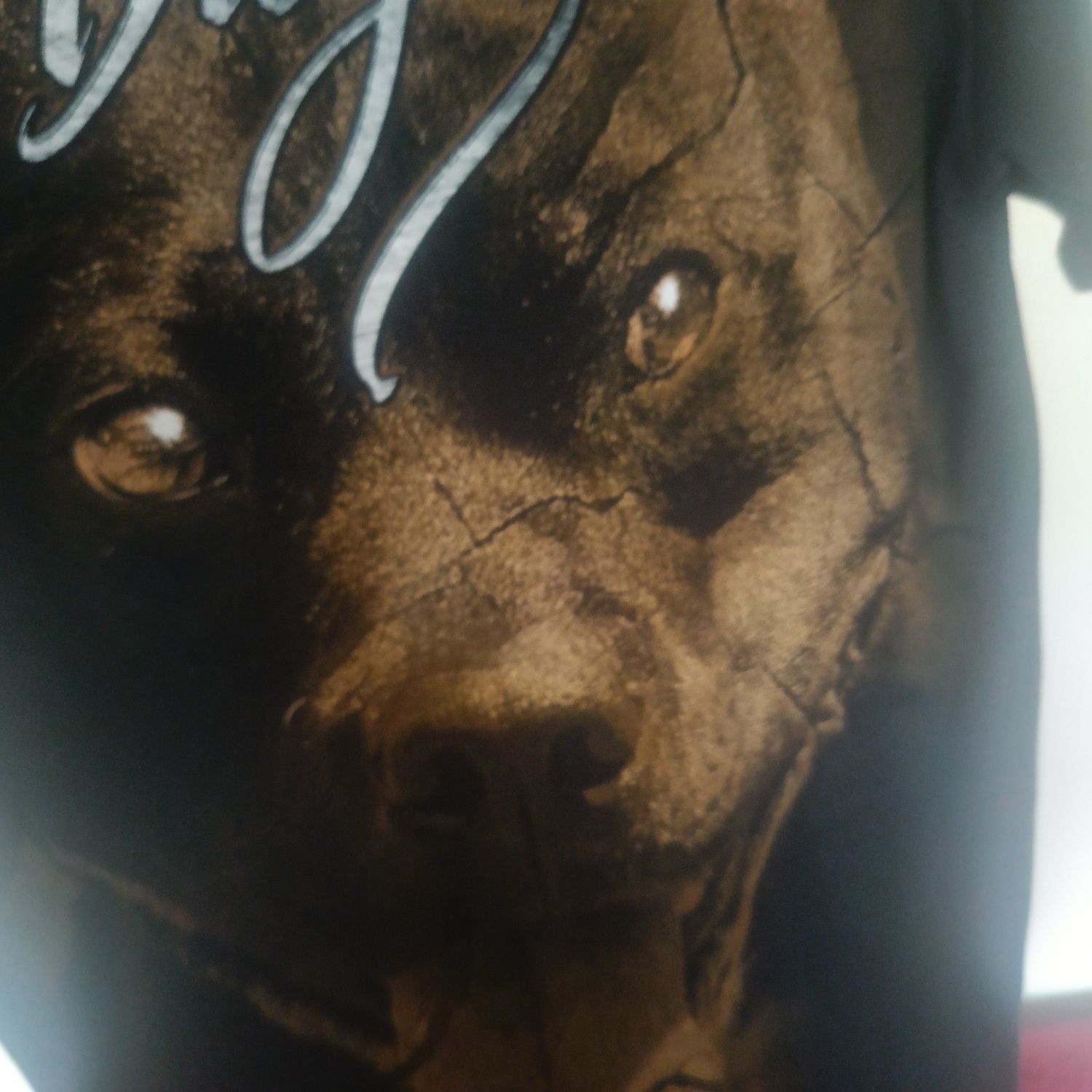 Koszulka Pit Bull ( nowa) rozmiar S ( Octagon , Ofensywa)