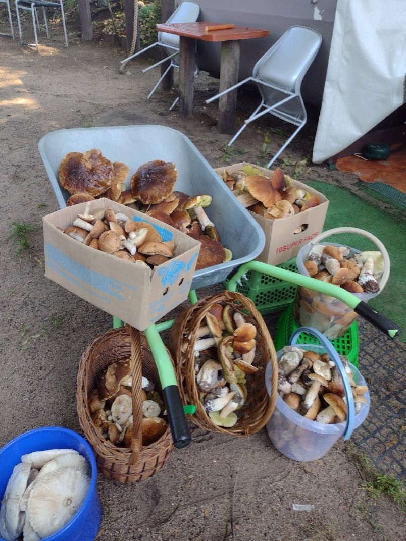DOMEK NAD JEZIOREM nie nad morzem tu jest ciepło! Łódka, kajaki gratis