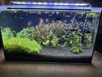 Sprzedam akwarium 45l