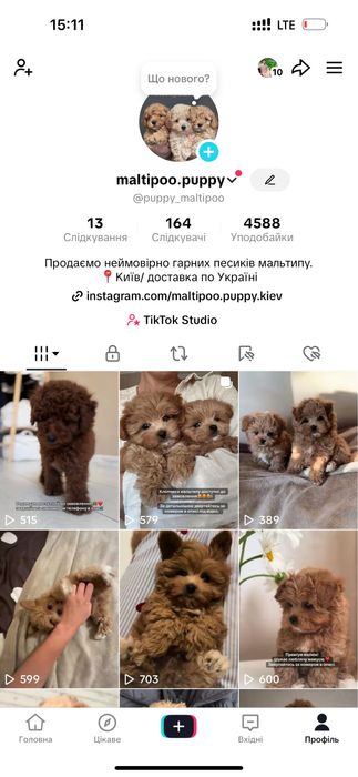Мальтипу ф1 міні/мікро/стандарт