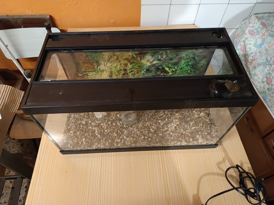 Aquário medio com acessórios