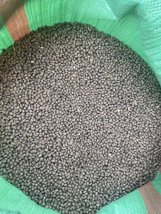 Sprzedam łubin niebieski ,młynkowany(oczyszczony)