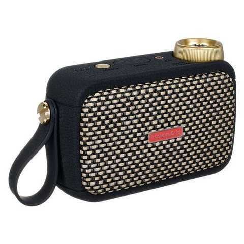 Positive Grid Spark Go