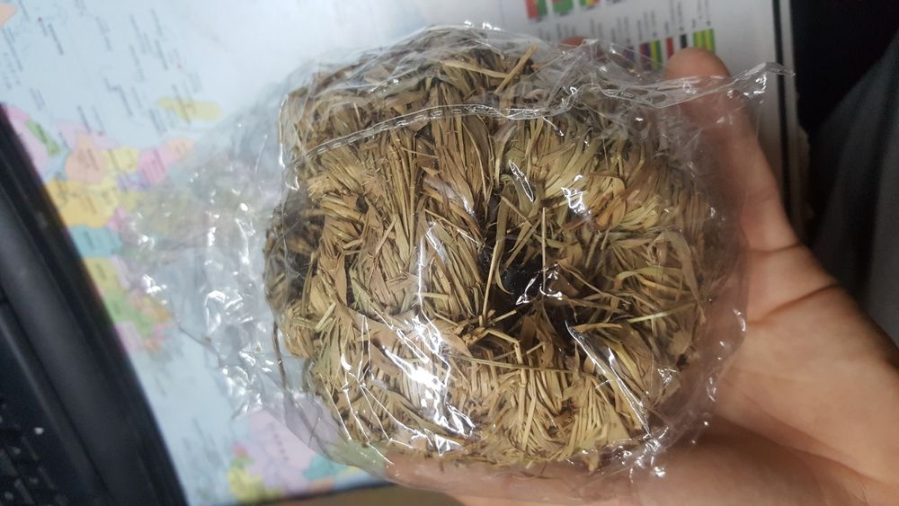 Ninho para hamster