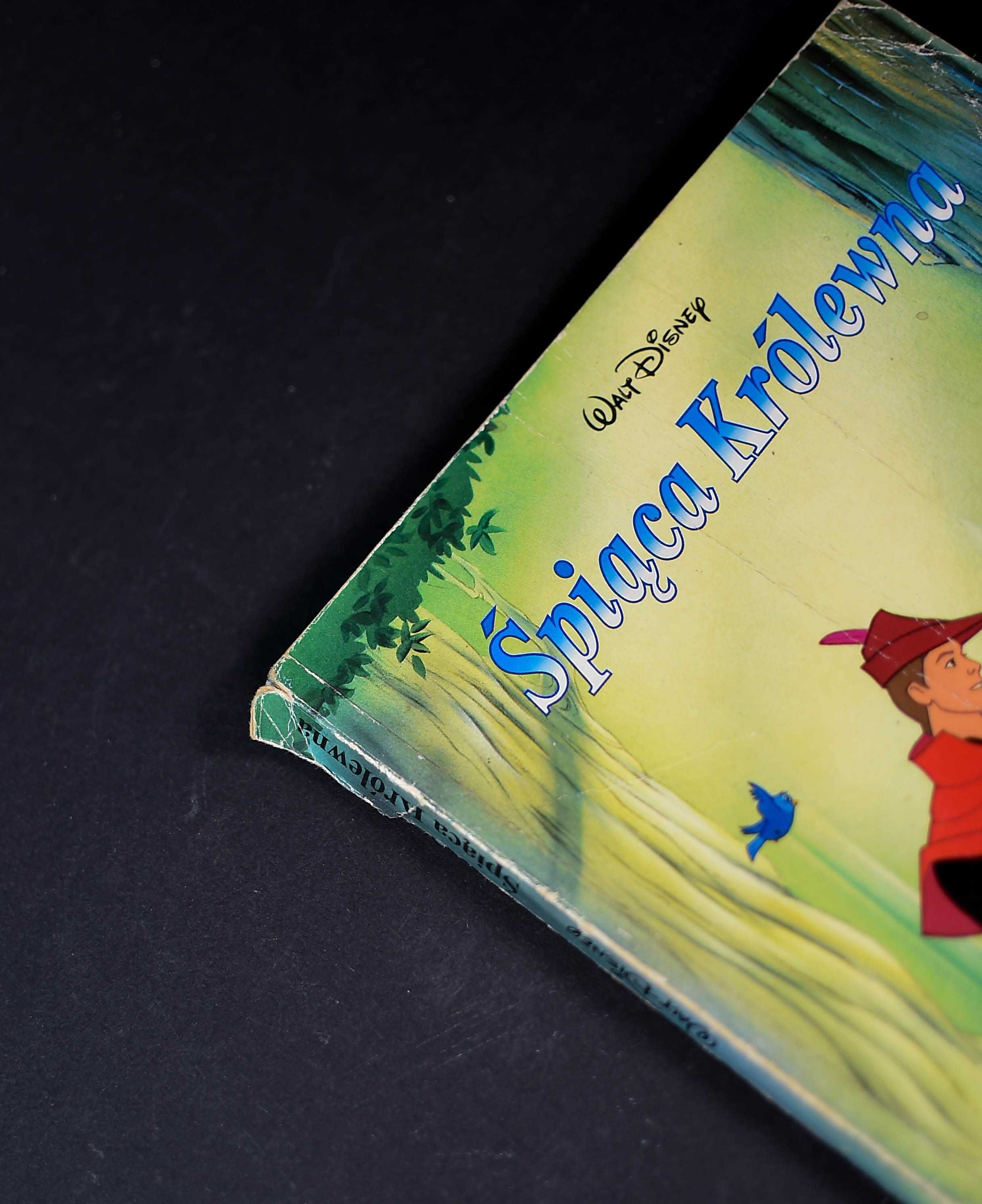 Książka # Śpiąca Królewna - Walt Disney B5