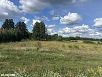 Działka Silna