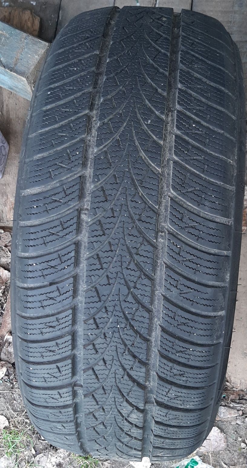 triangle tw401 205/50 r17