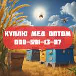 Соняшниковий та рапсовий мед