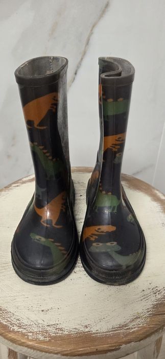 Kalosze chłopięce w dinozaury 29