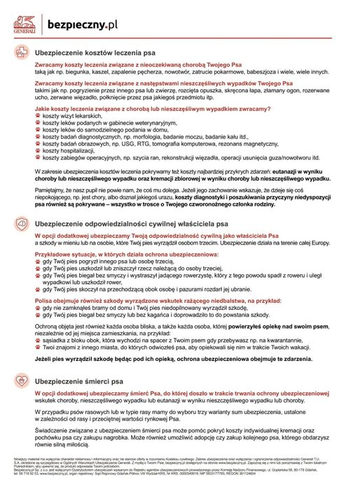 Elza Shih Tzu suczka rodowód UBEZPIECZENIE