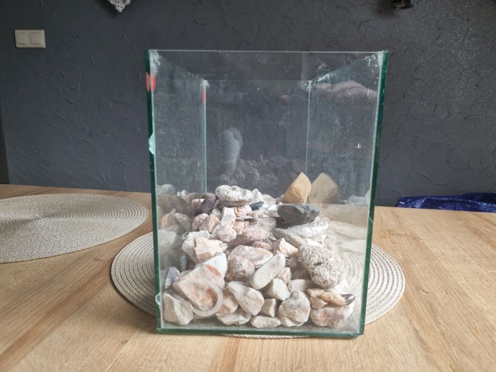 Akwarium małe z kamieniami