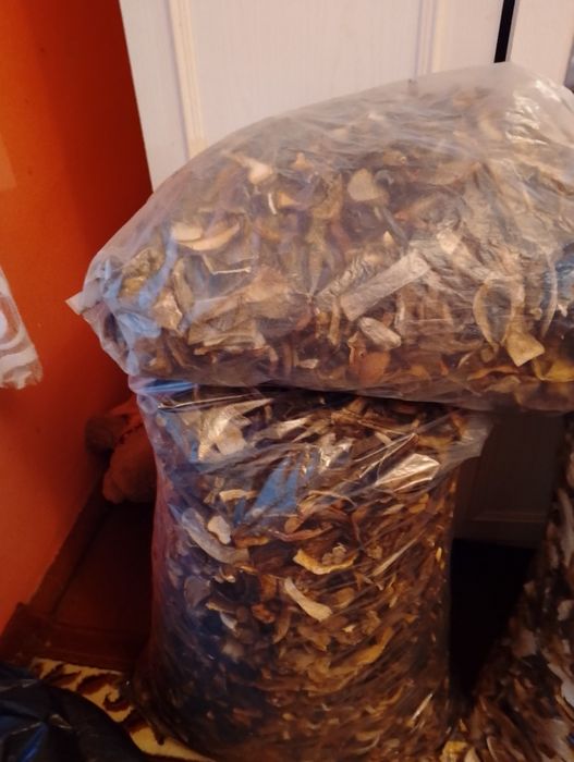 Продам хороший буковий гриб з Закарпаття.