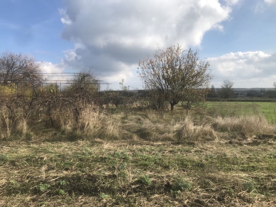 Продажа или аренда дома, дача, помещение, убежище.